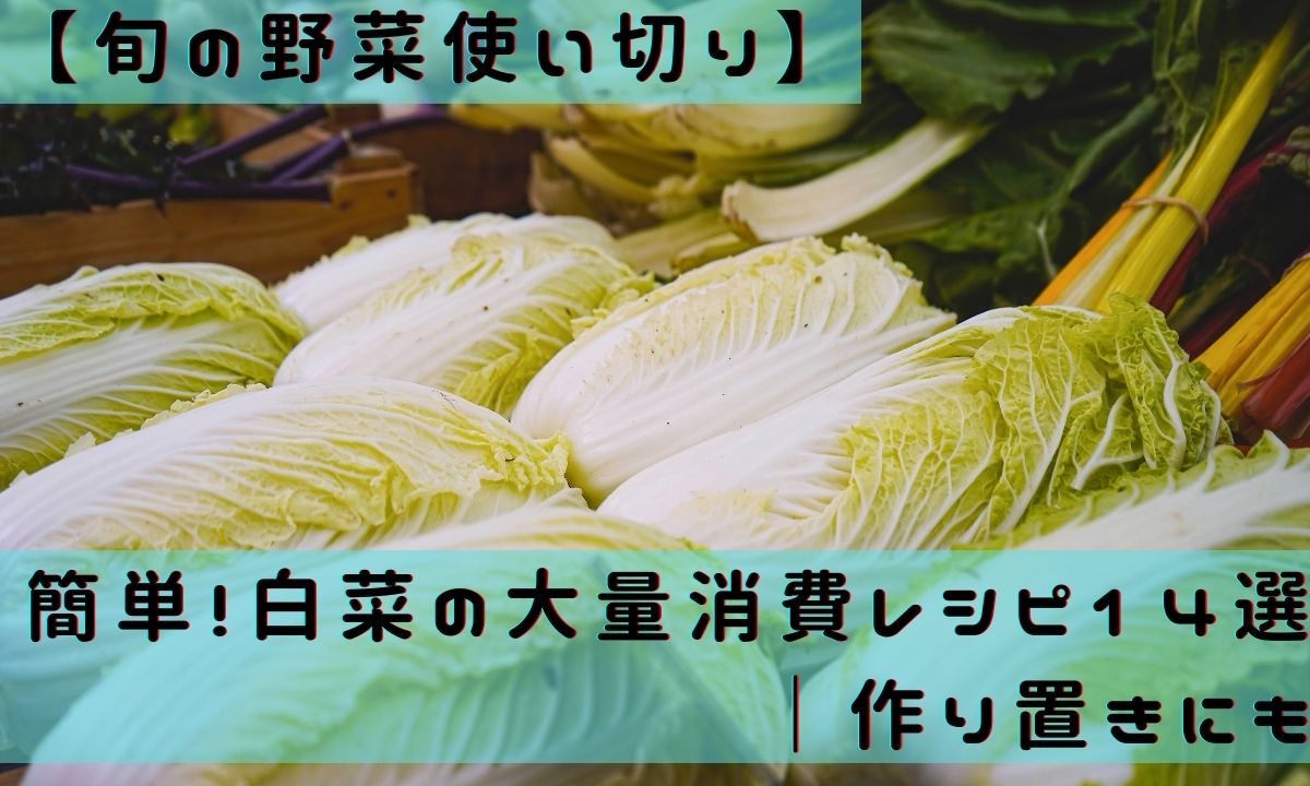 【旬の野菜使い切り】簡単！白菜の大量消費レシピ14選｜作り置きにも